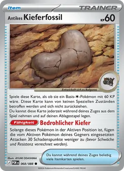 Antikes Kieferfossil, Karte 068 aus Optimale Ordnung