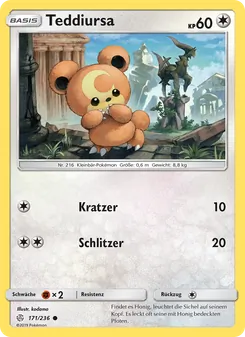 Teddiursa, Karte 171 aus Welten im Wandel