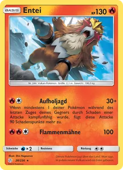 Entei, Karte 28 aus Welten im Wandel