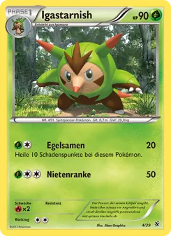 Igastarnish, Karte 4 aus Willkommen in Kalos