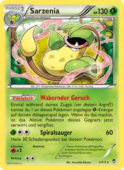 Sarzenia, Karte 3 aus Fliegende Fäuste