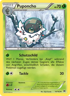 Puponcho, Karte 14 aus TURBOstart