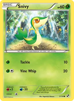 Snivy, card 1 from Black & White
