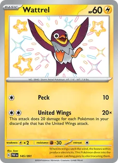 Wattrel, card 145 from Paldean Fates