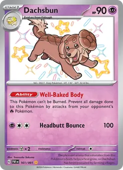 Dachsbun, card 161 from Paldean Fates