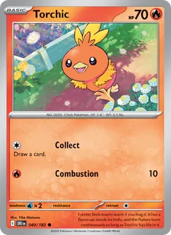 Torchic, card 040 from Destined Rivals